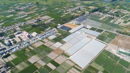 地展征集!第五屆酒泉現代種業博覽會來了