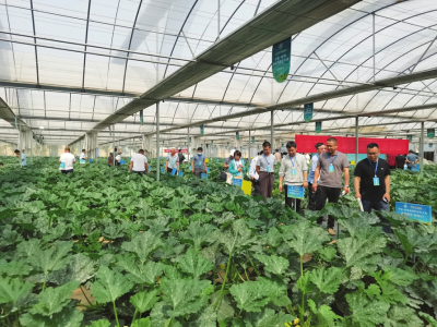 種業(yè)攻關(guān) 促進發(fā)展