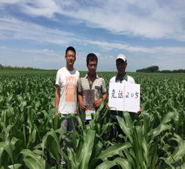 新產(chǎn)品 新伙伴 新宏圖