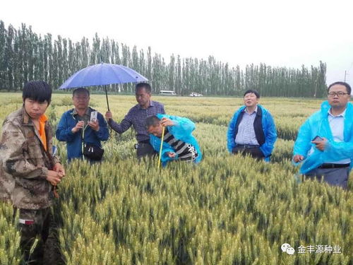 種業核心競爭力與未來發展核心探析