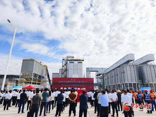 甘肅農墾亞盛種業中墾玉種子加工廠在張掖落成，助力種業現代化發展